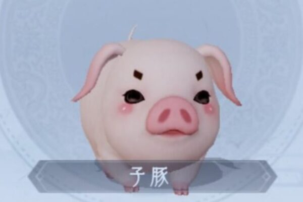 FUSHO-浮生-　ペット　子豚